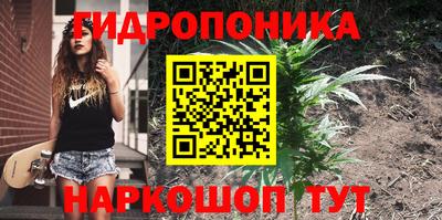 прущая мука Ноябрьск