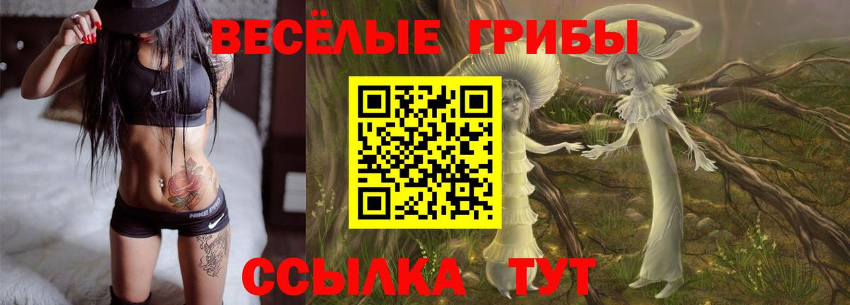 Бузулук  Галлюциногенные грибы MAGIC MUSHROOMS  Вход с VPN 